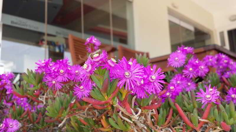 Bright Star Aparthotel